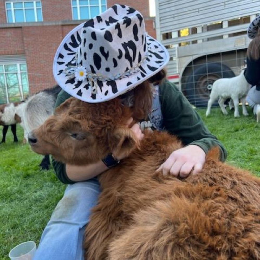 Meet your Posher, Rebekah